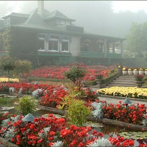 تصویر - رویایی ترین باغ گل طبیعی دنیا - معماری